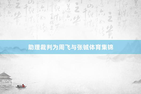 助理裁判为周飞与张铖体育集锦