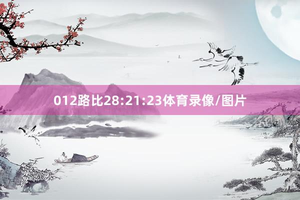 012路比28:21:23体育录像/图片