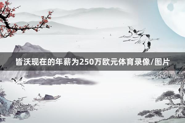 皆沃现在的年薪为250万欧元体育录像/图片