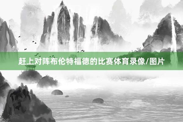 赶上对阵布伦特福德的比赛体育录像/图片