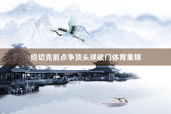 绍切克前点争顶头球破门体育集锦