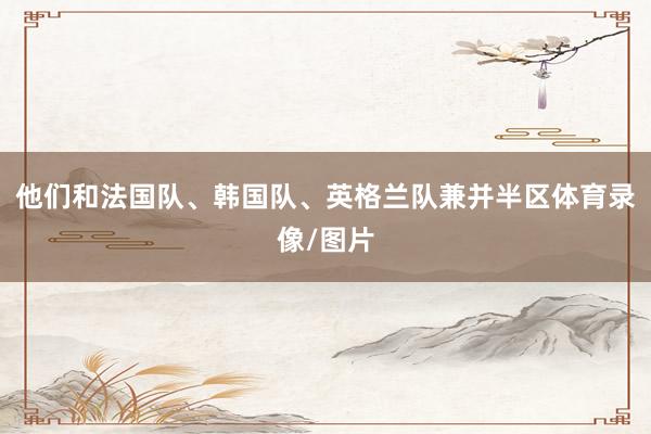 他们和法国队、韩国队、英格兰队兼并半区体育录像/图片