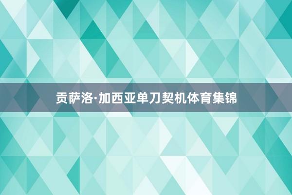 贡萨洛·加西亚单刀契机体育集锦
