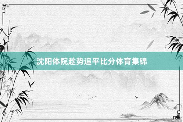 沈阳体院趁势追平比分体育集锦
