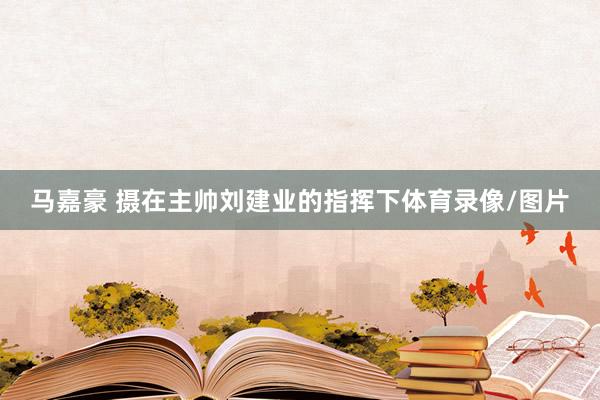 马嘉豪 摄在主帅刘建业的指挥下体育录像/图片