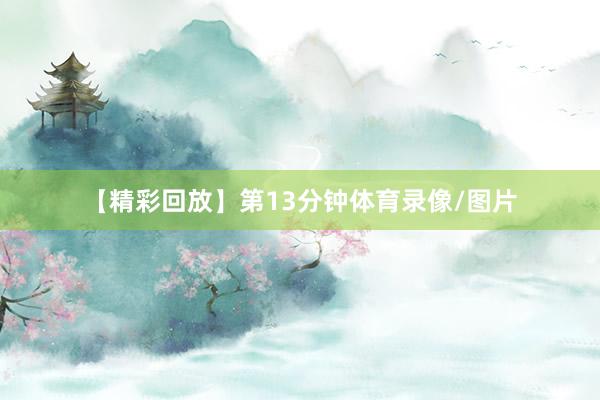 【精彩回放】第13分钟体育录像/图片
